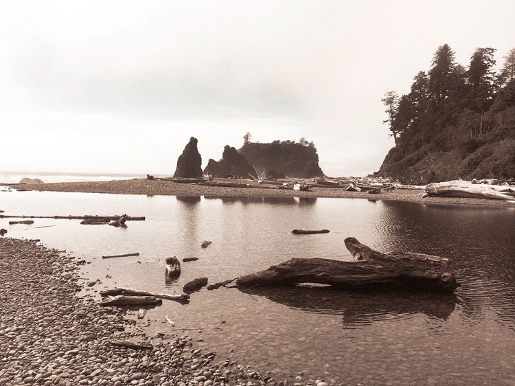 Picture of RUBY BEACH