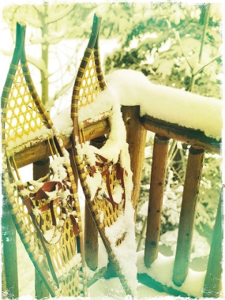 Picture of SNOWSHOES