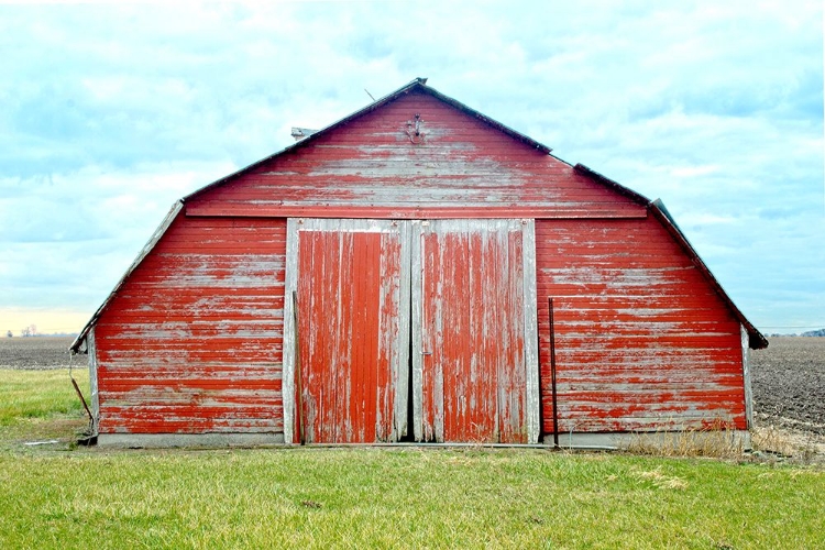 Picture of THE RED SHED