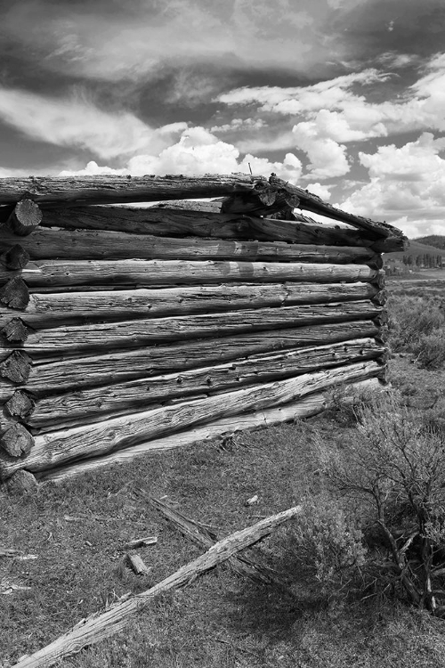 Picture of TRAIL CREEK CABIN