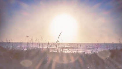 Picture of SUMMER SUN BEACH GLARE