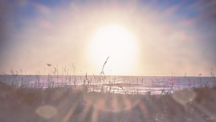 Picture of SUMMER SUN BEACH GLARE