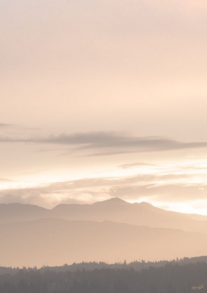 Picture of THE MORNING MOUNTAINS