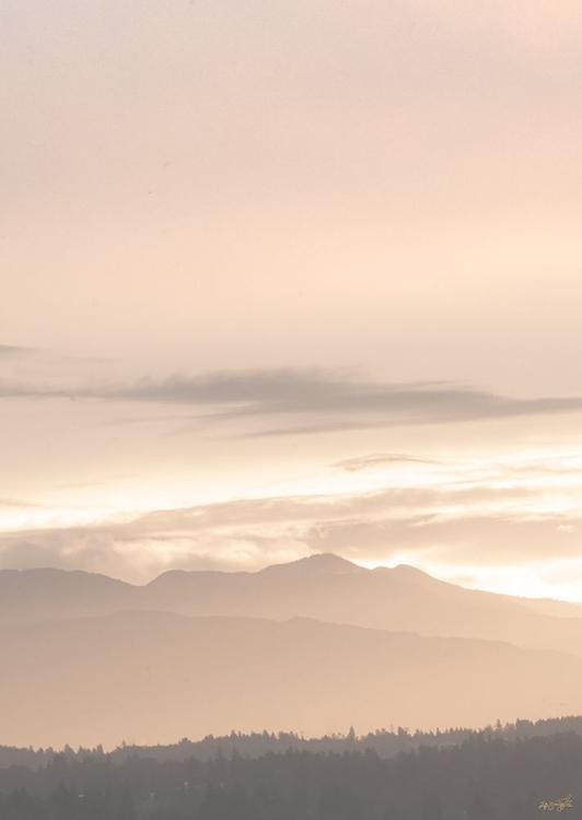 Picture of THE MORNING MOUNTAINS