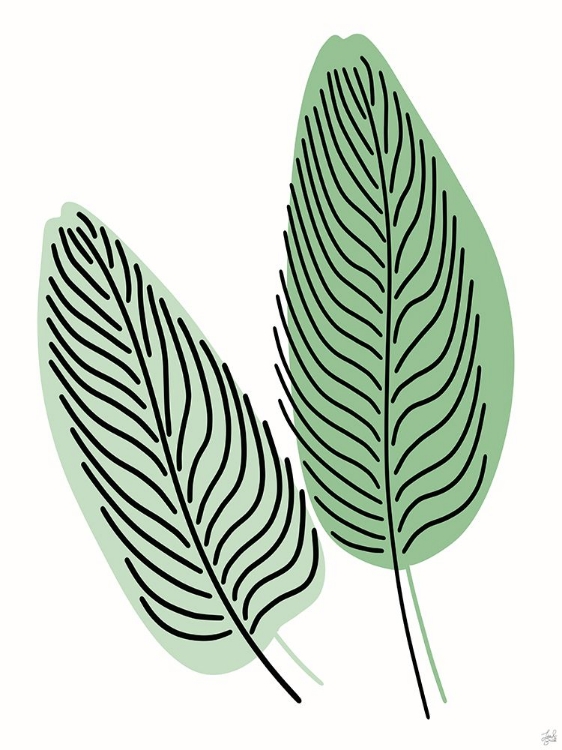 Picture of FERN LINES PAIR 1