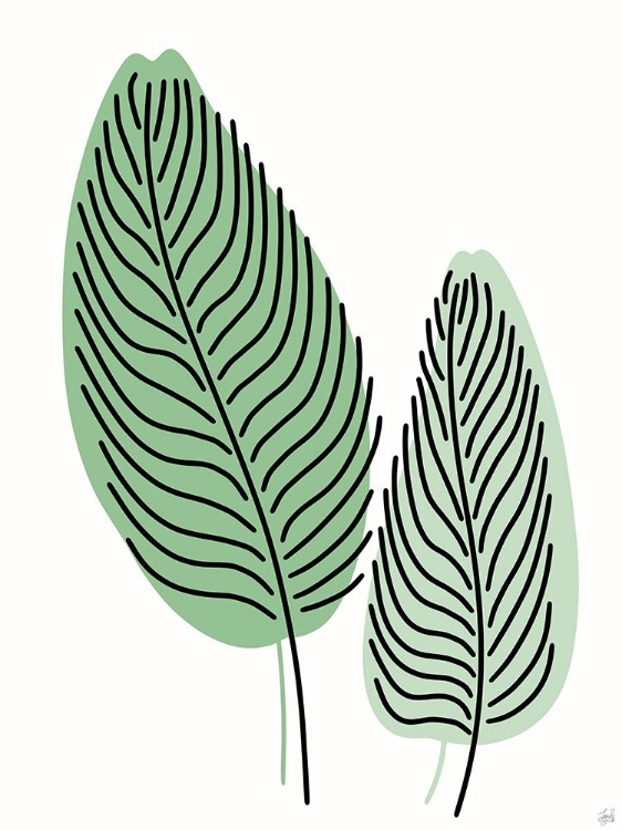 Picture of FERN LINES PAIR 2