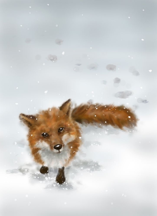 Picture of FOX