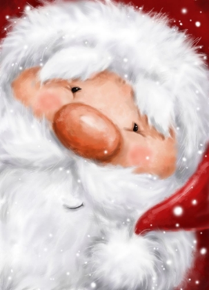 Picture of SANTA 4