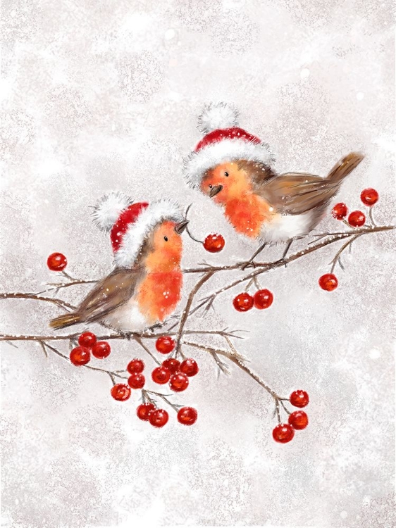 Picture of TWO ROBINS