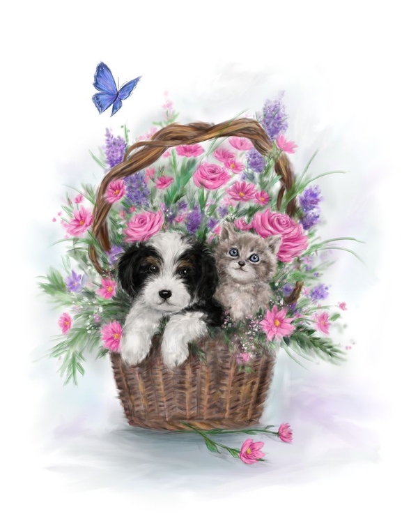 Picture of DOG AND CAT IN FLOWER BASKET