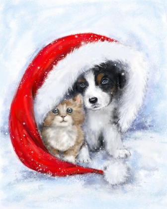 Picture of DOG AND CAT UNDER SANTAS HAT