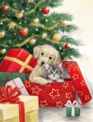 Picture of CHRISTMAS DOG AND CAT IN BOX