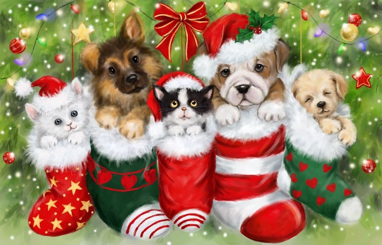 Picture of DOGS IN STOCKINGS