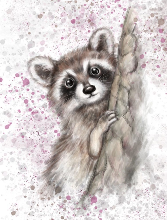 Picture of RACCOON