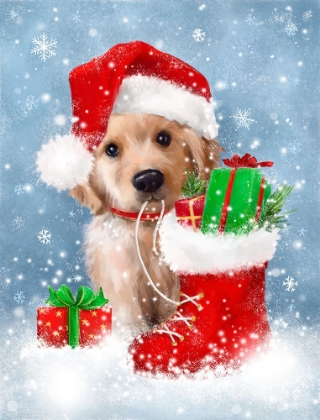 Picture of PUPPY WITH SANTAS HAT