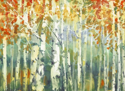 Picture of ABSTRACT BIRCH TREES WARM