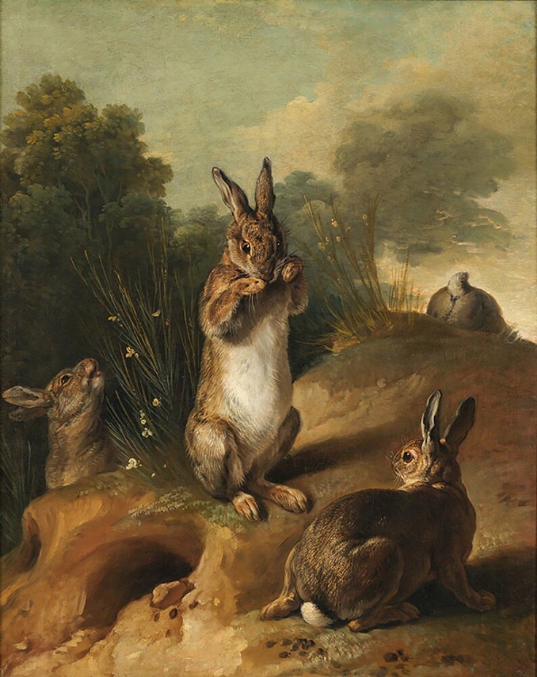 Picture of RABBITS - ALEXANDRE-FRANCCOIS DESPORTE