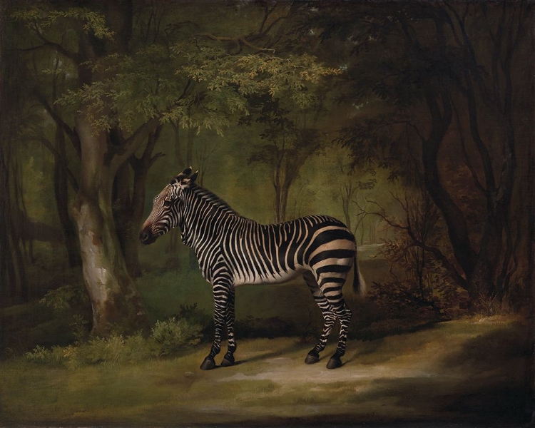 Picture of ZEBRA - GEORGE STUBBS