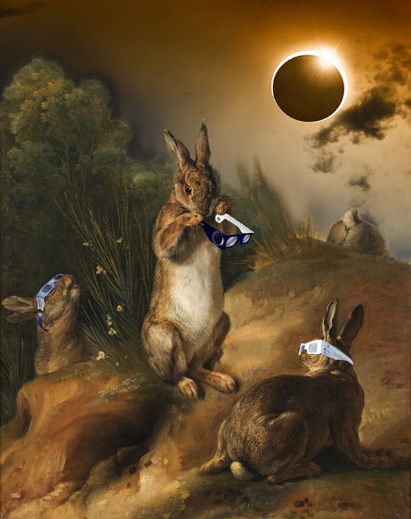 Picture of RABBITS - ALEXANDRE-FRANCOIS DESPORTE - REDUX