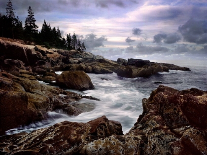 Picture of ACADIA NP JAGGED COAST