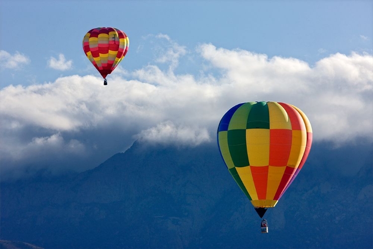 Picture of BALLOONS AND MOUNTAINS ABQ 4604