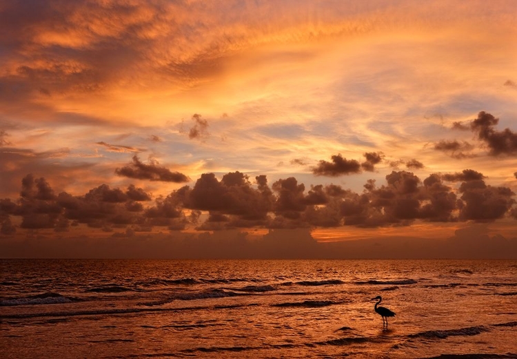 Picture of FORT MYERS BEACH SUNSET 9708