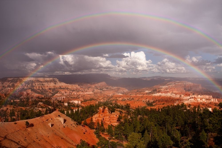 Picture of RAINBOW OVER BRYCE UT 6927