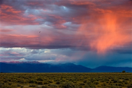 Picture of STORMY SUNSET NEAR SALIDA 2137