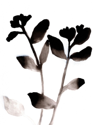 Picture of SUMI FADING FLOWERS 1