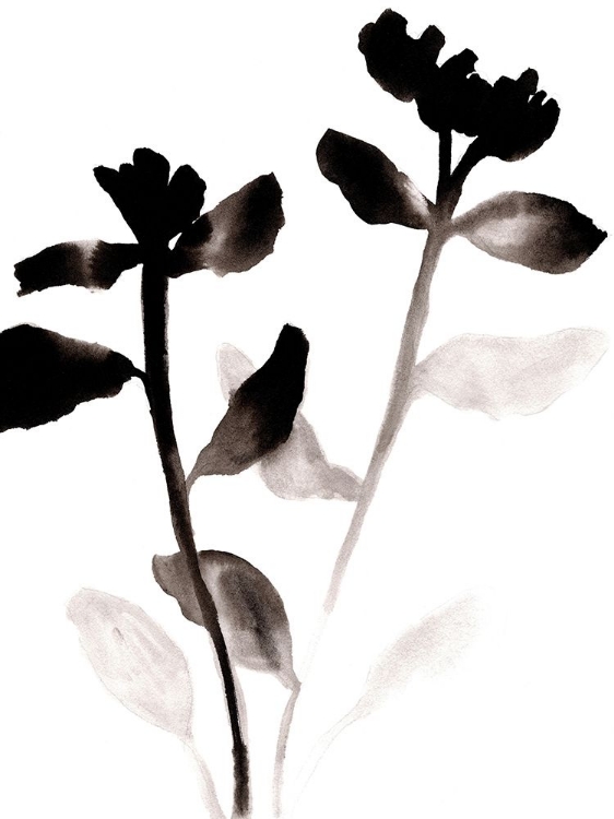 Picture of SUMI FADING FLOWERS 2