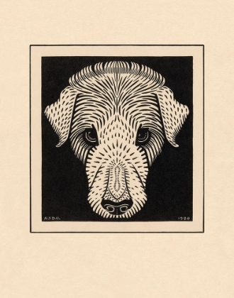 Picture of DOG’S HEAD, 1920