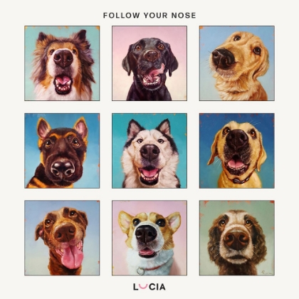 Picture of FOLLOW YOUR NOSE COLLAGE