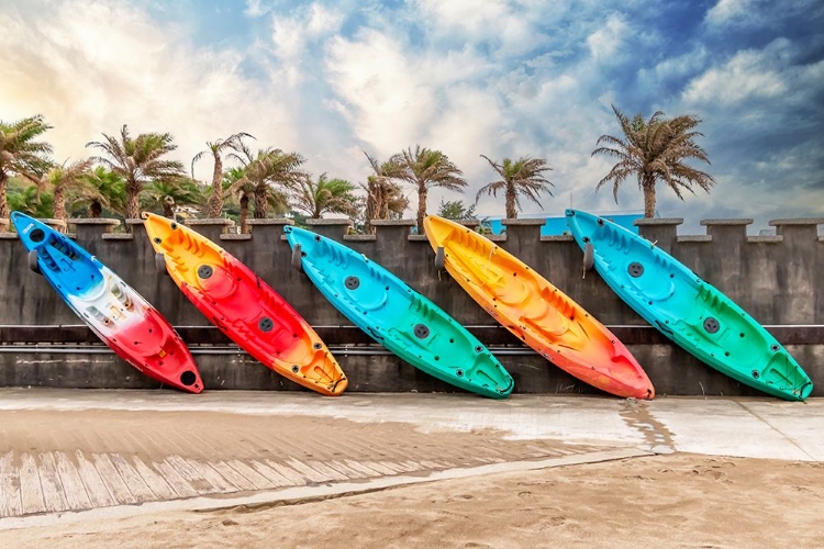 Picture of SURF BOARDS AND PALM TREES