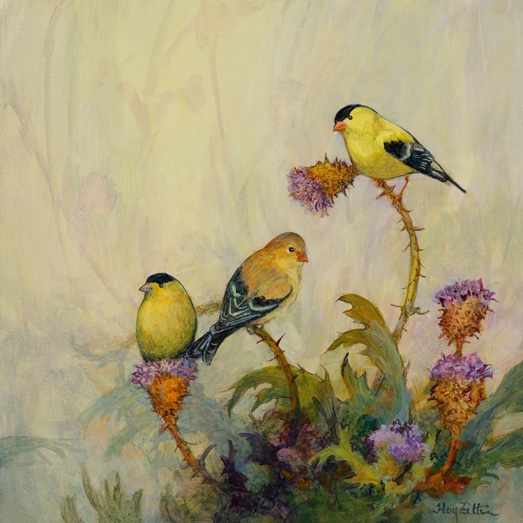 Picture of AMERICAN GOLDFINCH NO. 1