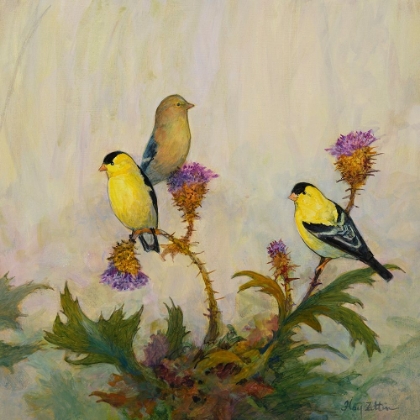 Picture of AMERICAN GOLDFINCH NO. 2