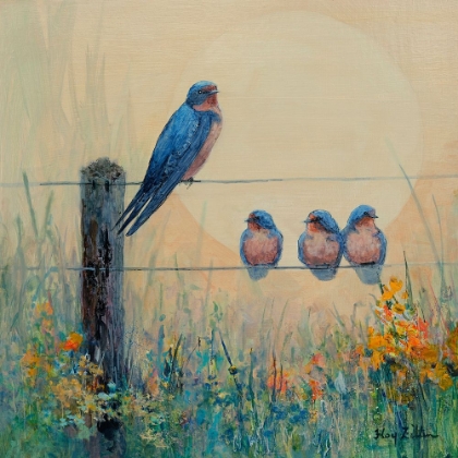 Picture of BARN SWALLOW FAMILY