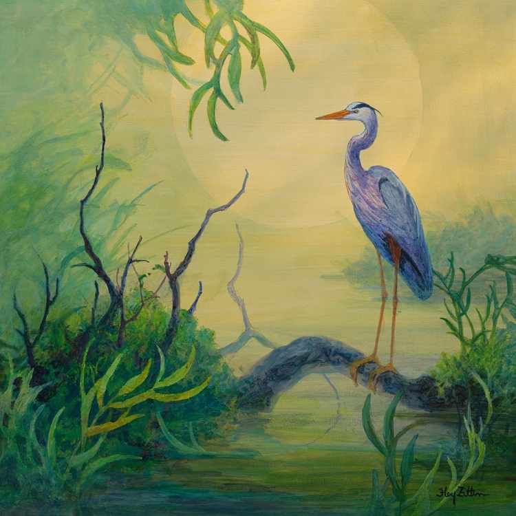 Picture of SUMMER HERON