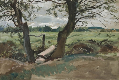 Picture of STUDY OF TWO TREES AND A FIELD