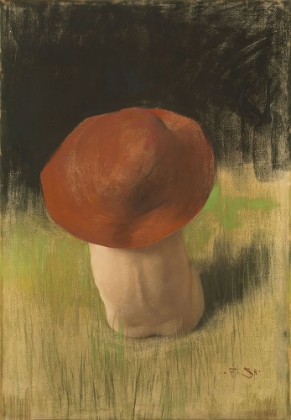 Picture of THE MUSHROOM 1882