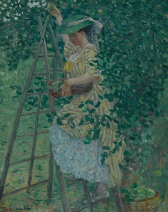 Picture of THE APPLE TREE 1908