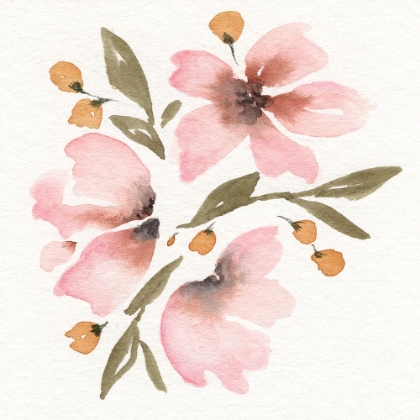 Picture of HIBISCUS 2