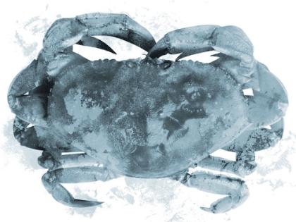 Picture of WEATHERED CRAB